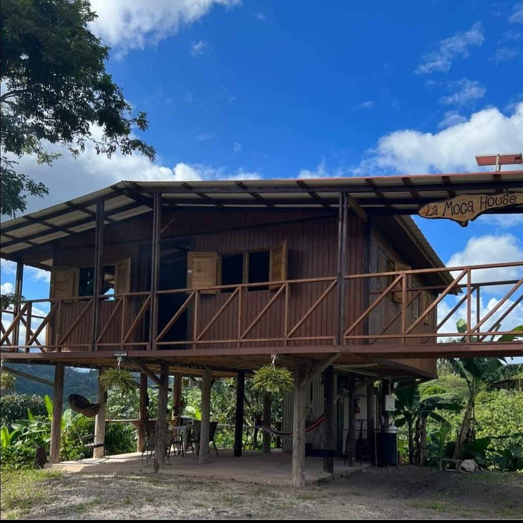 La Moca House Treehouse and Coffee Farm Rental in Adjuntas, Puerto